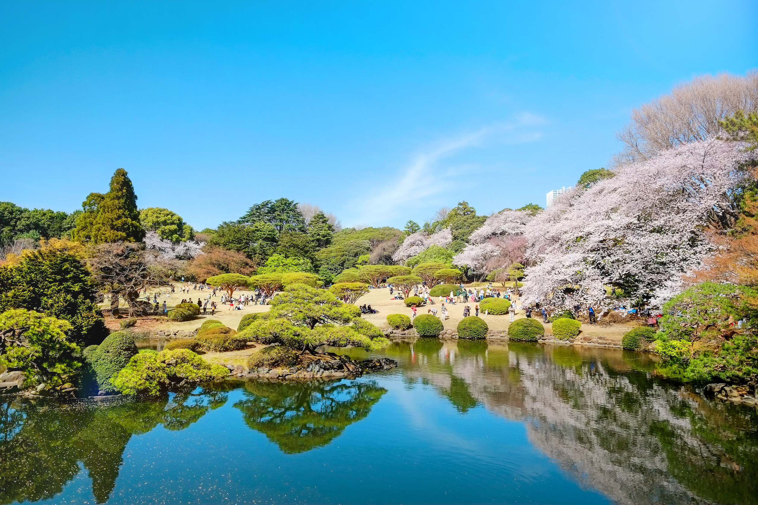 東京 日本庭園6選