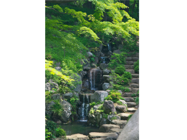 殿ヶ谷戸庭園 殿ヶ谷戸庭園