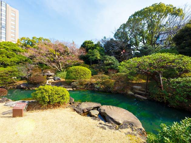 大隈庭園 大隈庭園