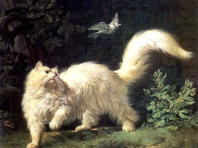 Conoce el museo de los gatos en este recorrido virtual Conoce el museo de los gatos en este recorrido virtual