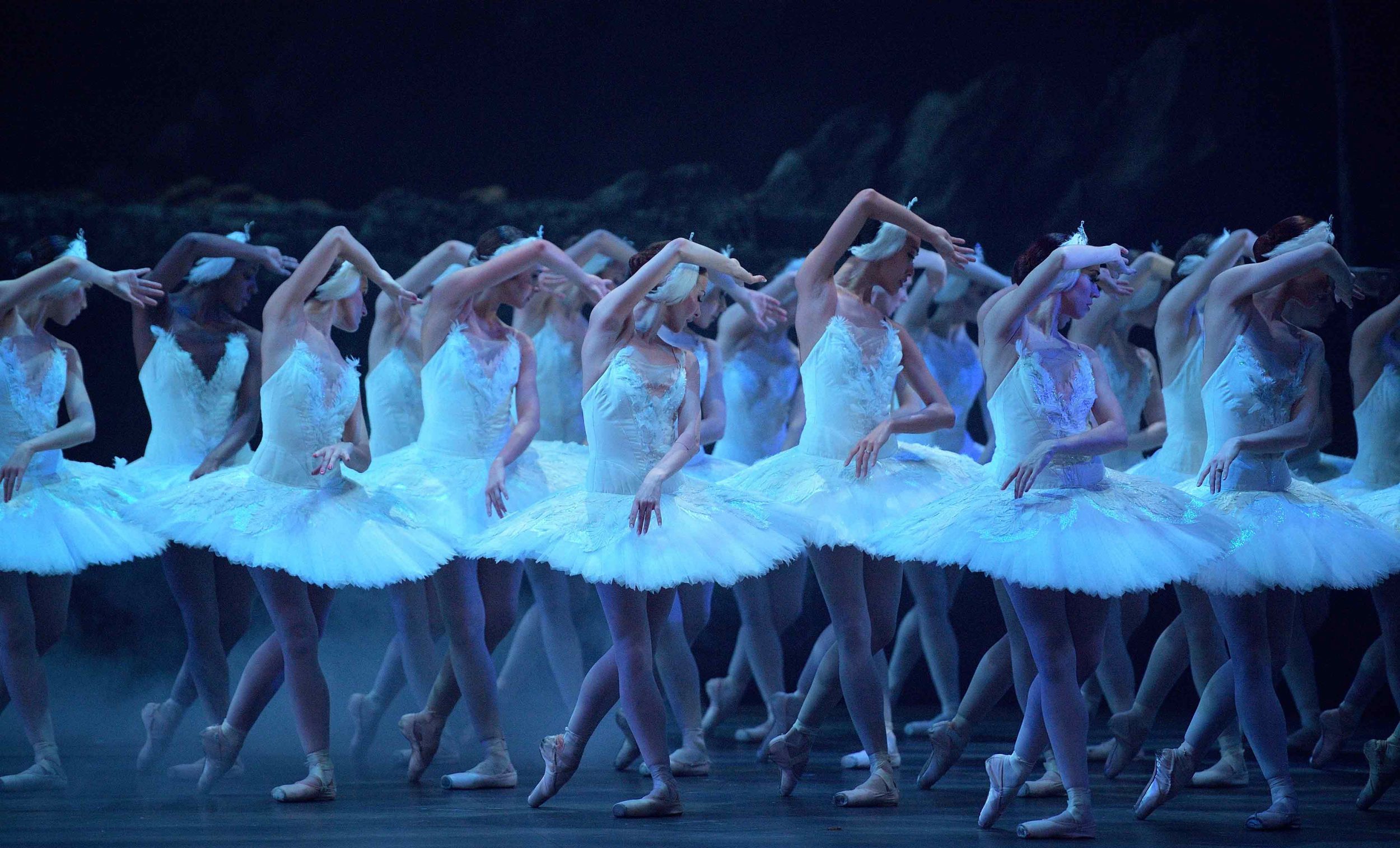English National Ballet streaming 'Swan Lake' for for the next hours