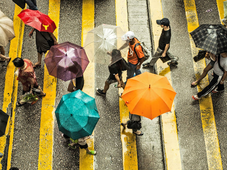 hong kong rain, things to do when it rains