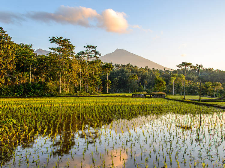 Lombok