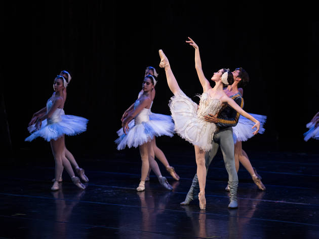 Compañía Nacional de Danza El lago de los cisnes en bellas artes con la compañía nacional de danza
