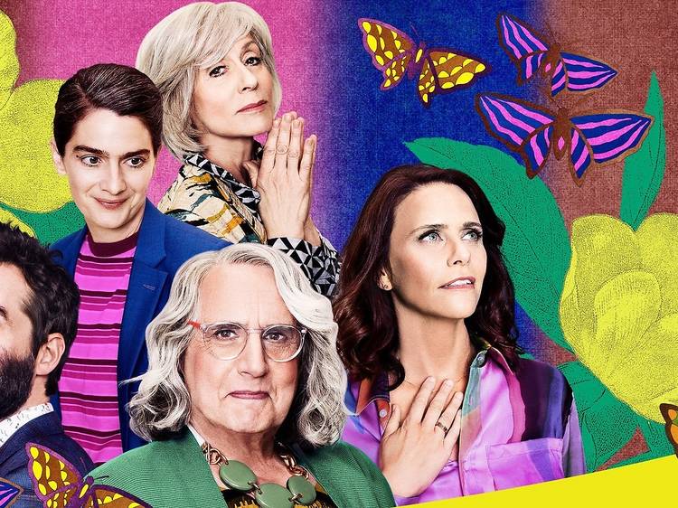 Transparent (2014-2019)