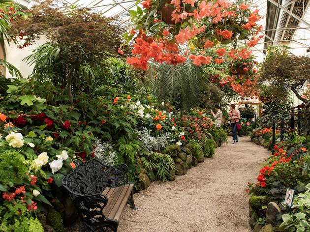 Fitzroy Gardens Conservatory Fitzroy Gardens Conservatory