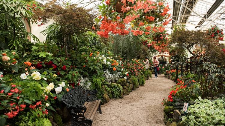 This secret greenhouse inside a popular inner-city park