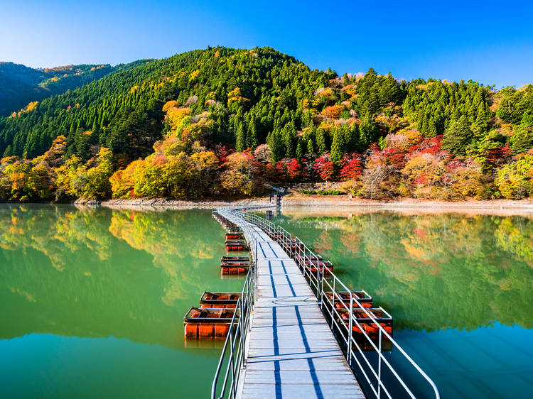 Walk on water at the Ogouchi Reservoir