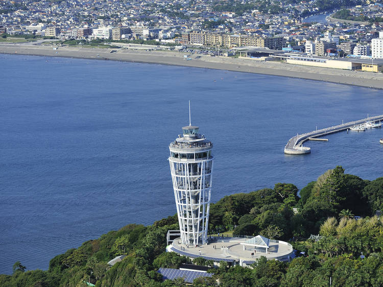 Enoshima Sea Candle