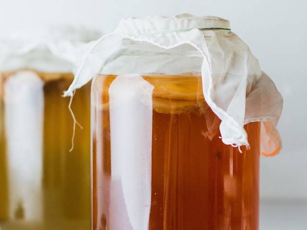 Kombucha Kombucha