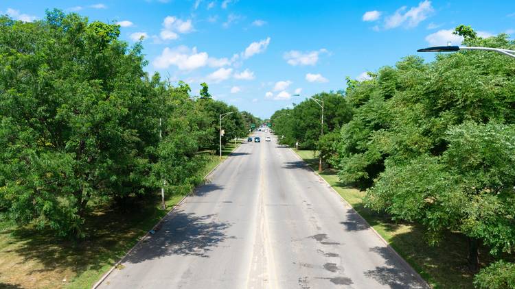 Why does Chicago’s boulevard system exist?