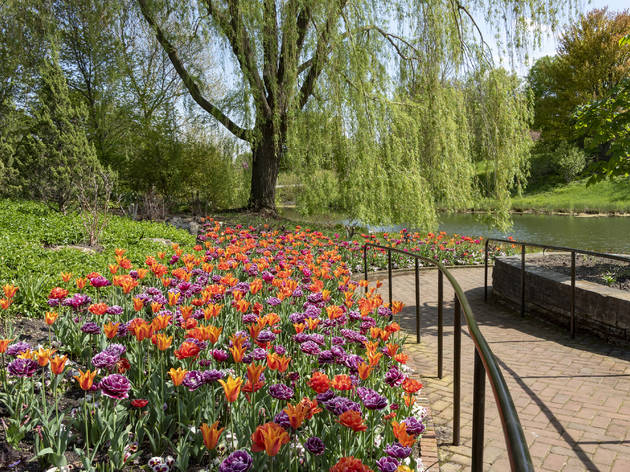 The Chicago Botanic Garden will welcome visitors again, beginning on June 9 The Chicago Botanic Garden will welcome visitors again, beginning on June 9