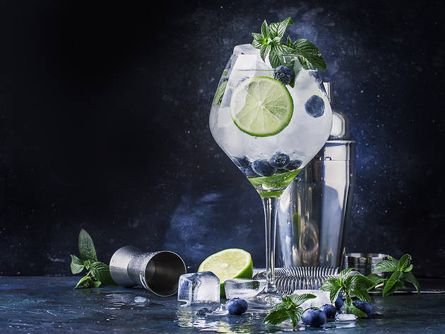 Gin and tonic gin and tonic