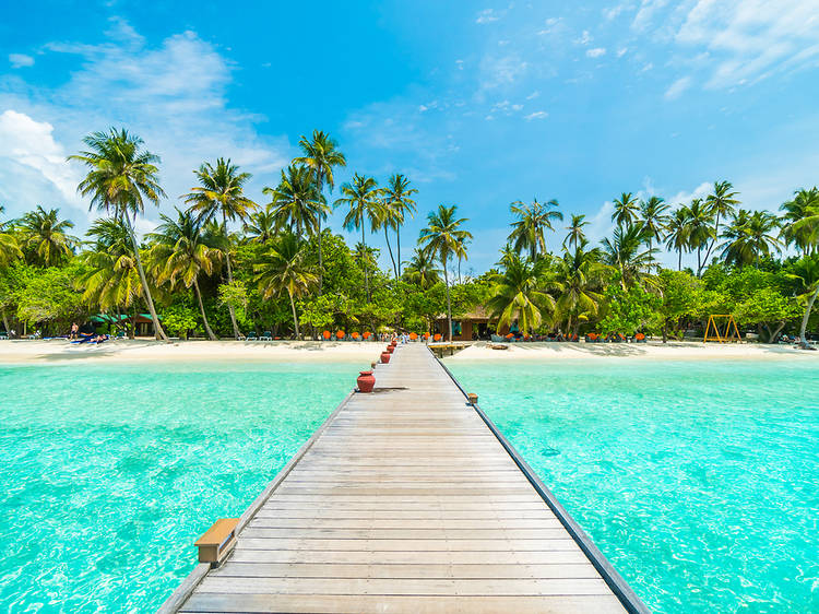 Dream job alert: you could live in the Maldives for free for an entire year