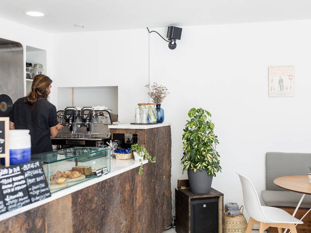 Lusophonica Lusophonica