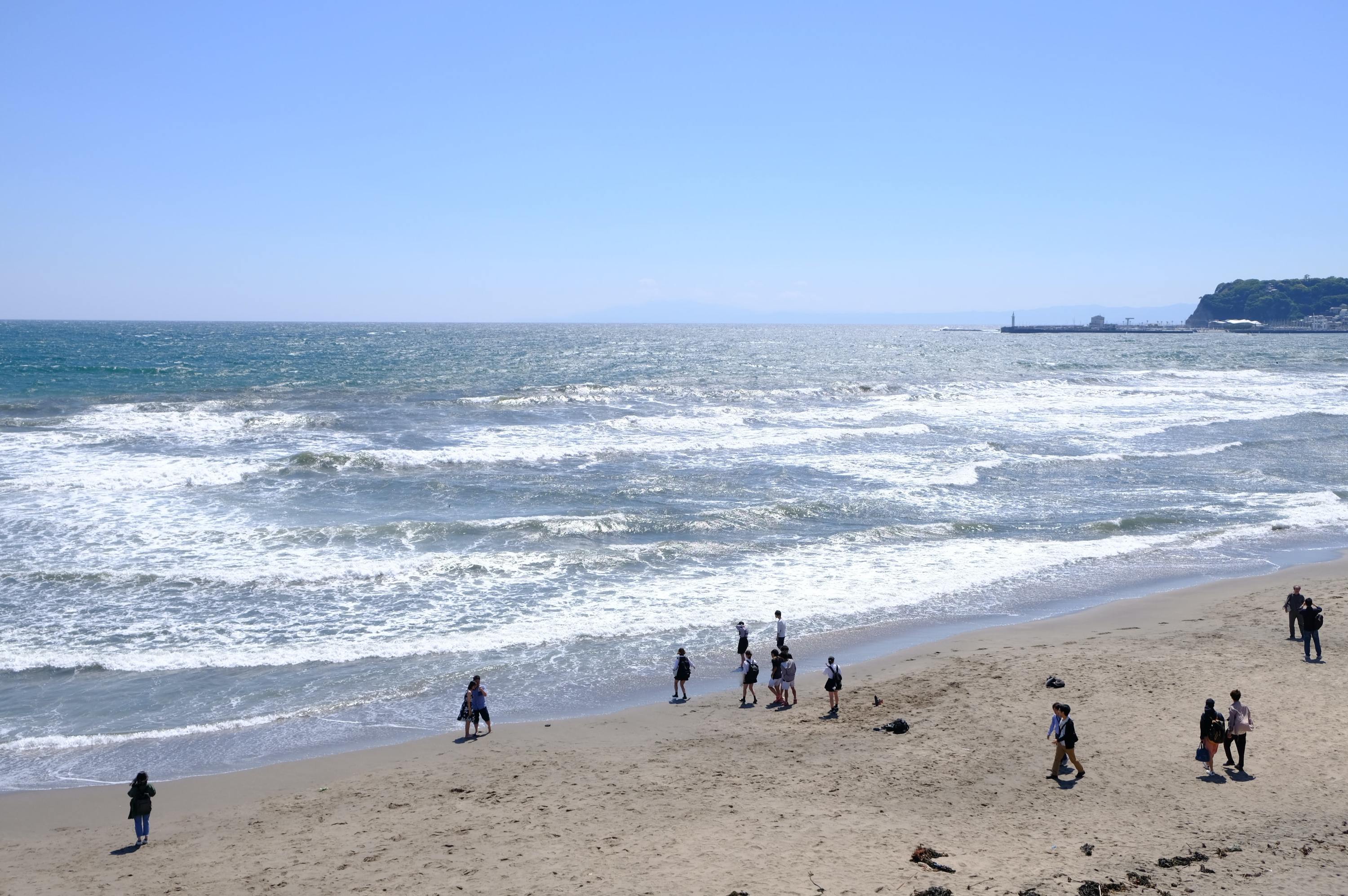 ハカイハヤブサ/TOKYO WRONG BEACH image.jpg