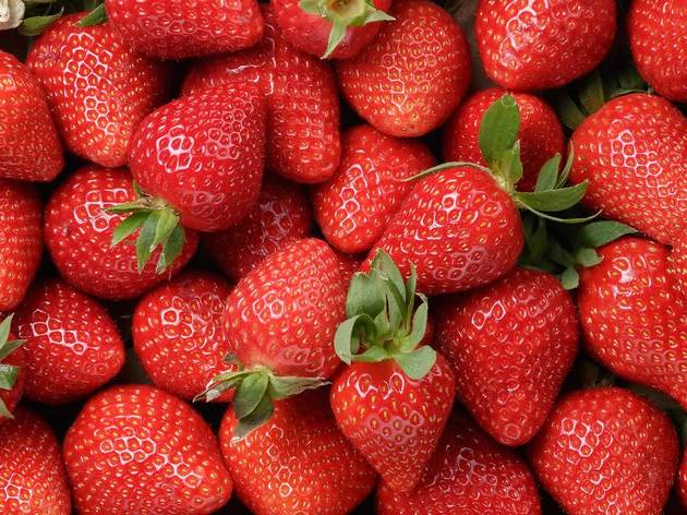 Strawberry picking in New York: What the PYO season will look like this summer Strawberry picking in New York: What the PYO season will look like this summer
