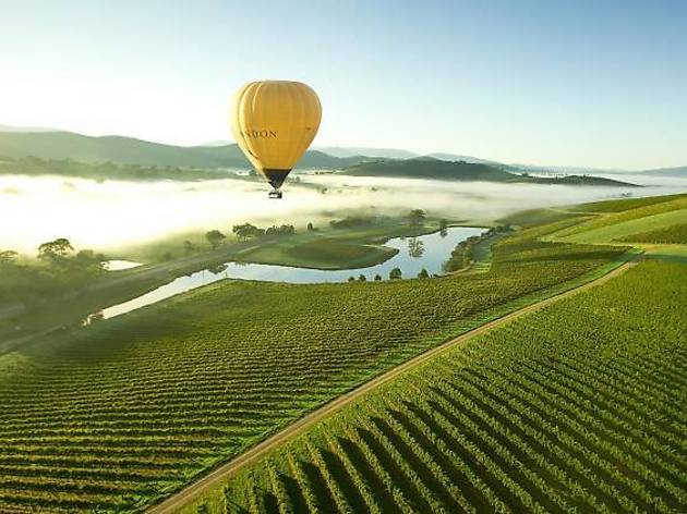 Hot air ballooning in the Yarra Valley Hot air balloon in the Yarra Valley