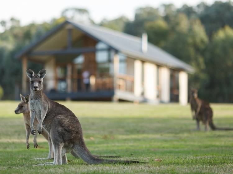 The Yarra Valley