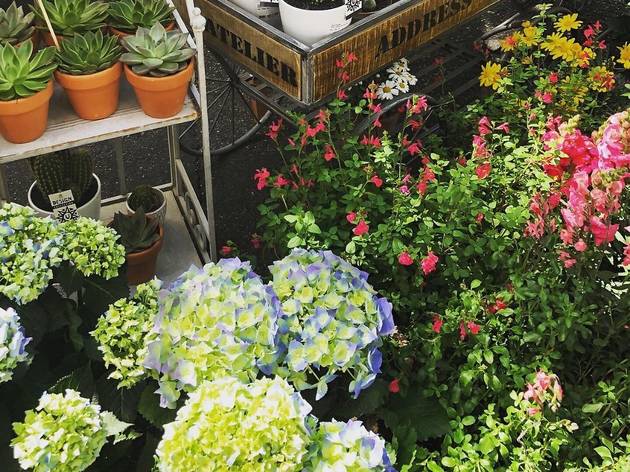 Mercado de las flores Mercado de las flores callejero edición primavera