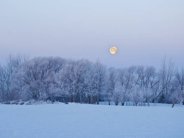 Full moon Full moon