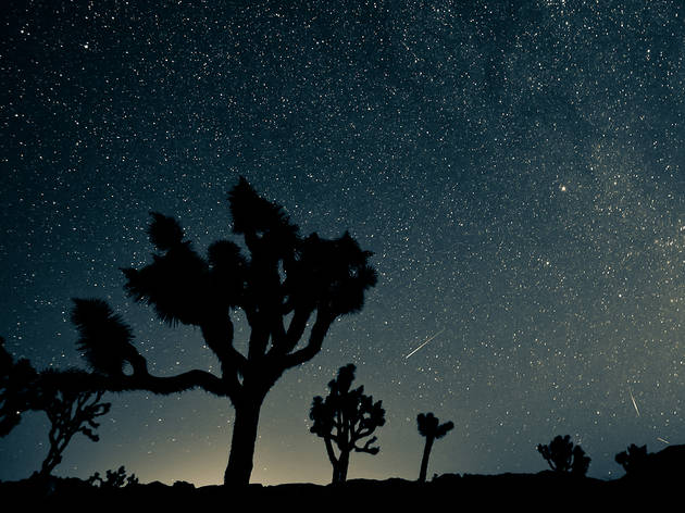 Perseid meteor shower Perseid meteor shower