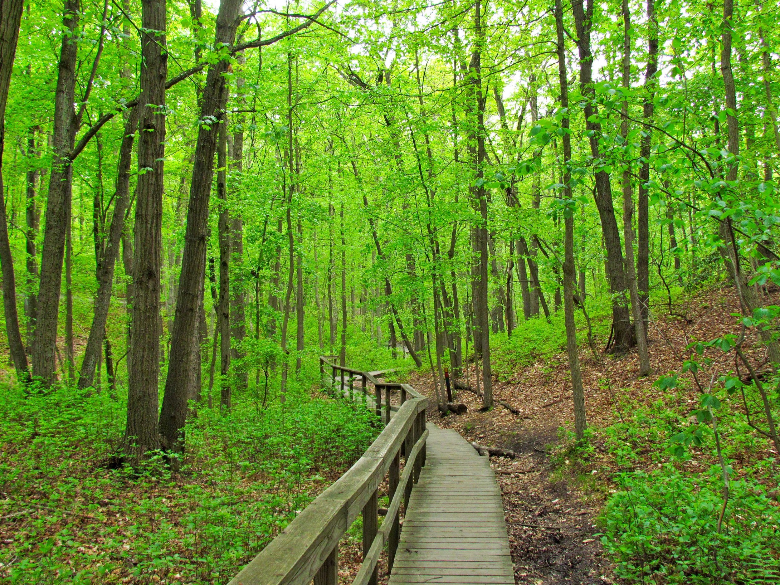 Hiking trails