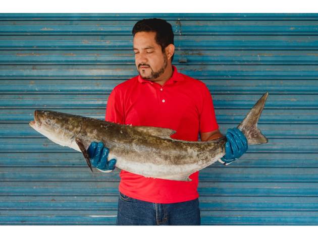 Erik Guerrero Nuestra Pesca erik guerrero posa con pescado de nuestra pesca