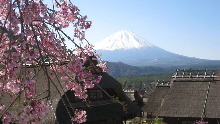 西湖いやしの里根場