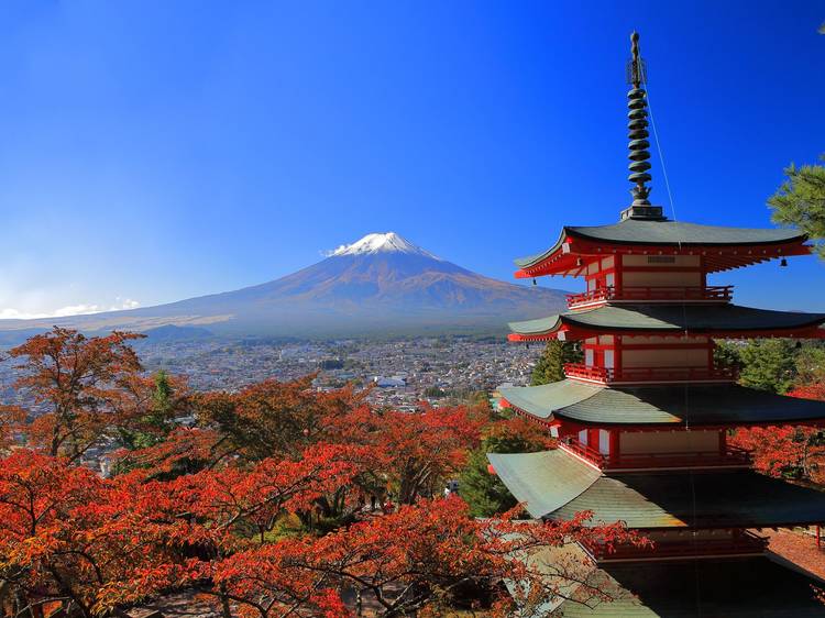 新倉富士浅間神社の忠霊塔