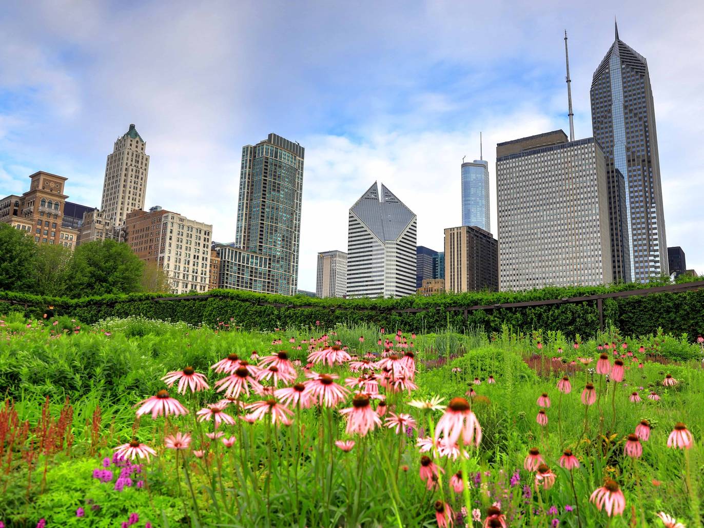 17 Best Views of the Chicago Skyline