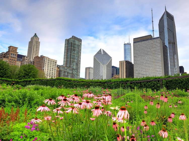 The most beautiful Chicago parks