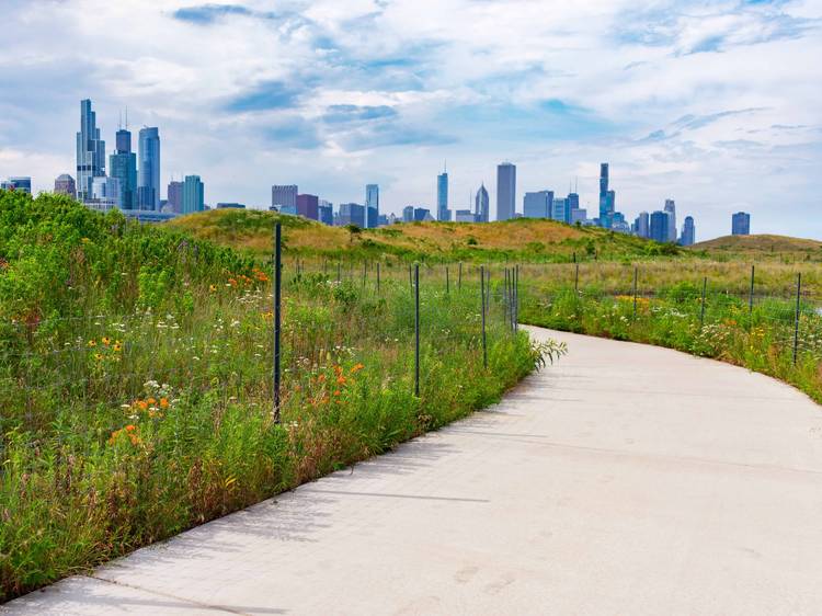 northerly island, chicago, skyline, park, northerly, outdoor, outside, nature