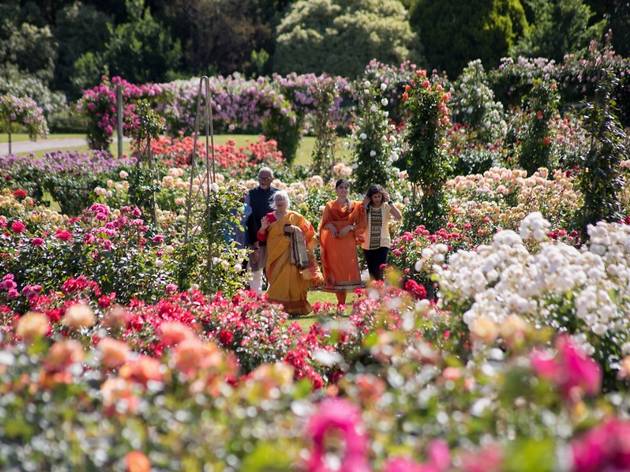Victoria State Rose Garden Victoria State Rose Garden