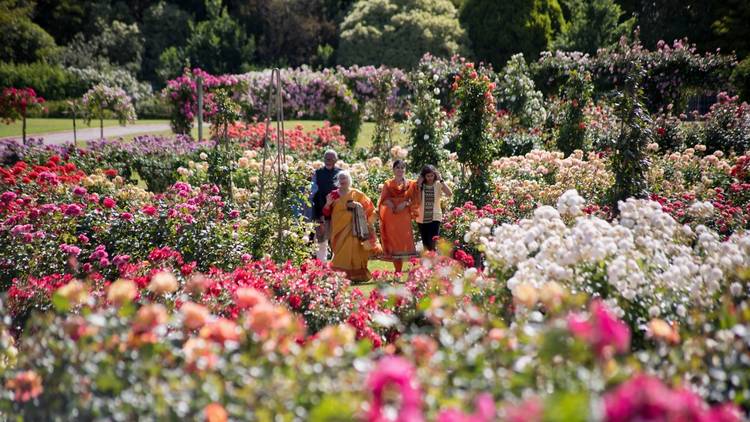 Victoria State Rose Garden