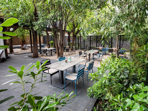 Tenemos una nueva terraza repleta de vegetación Tenemos una nueva terraza repleta de vegetación