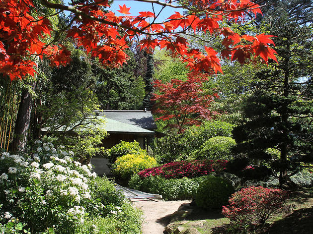 Le magnifique jardin du Musée Albert Khan rouvre gratuitement au public ! DR