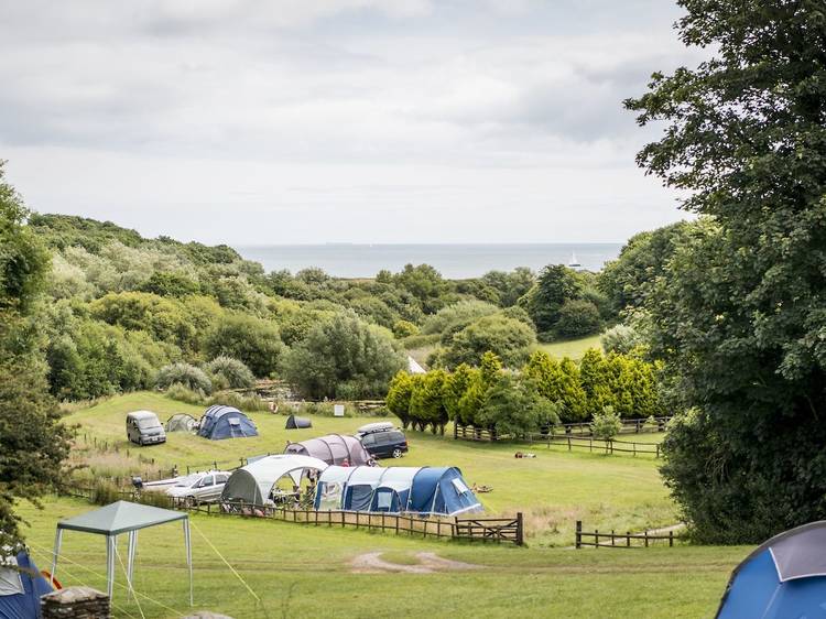 Beryl's campsite 