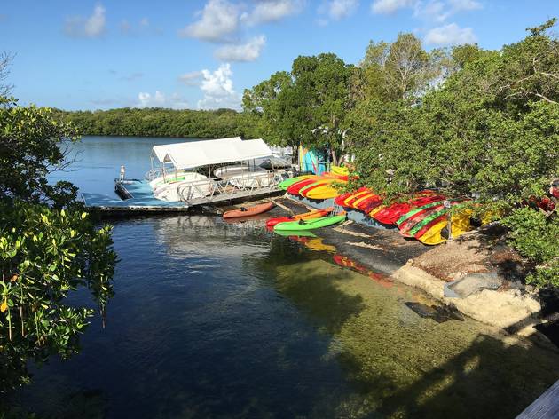 John Pennekamp Coral Reef State Park John Pennekamp Coral Reef State Park