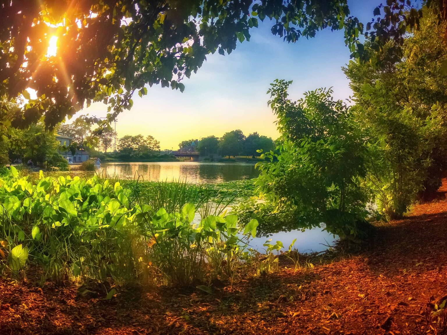 Best Place for a Picnic Near Me