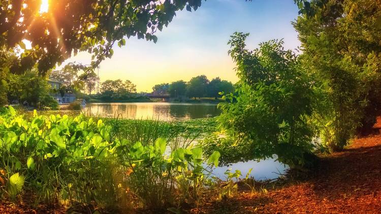 Humboldt Park | Things to do in Humboldt Park, Chicago