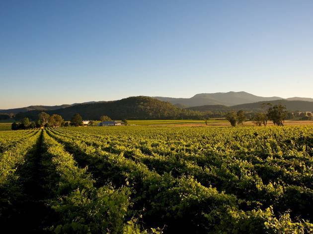 View overlooking the Chrismont vineyard Chrismont