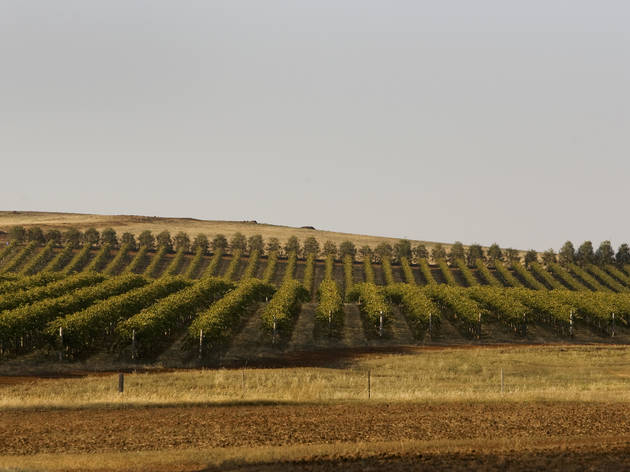 Heathcote winery Winery - Heathcote