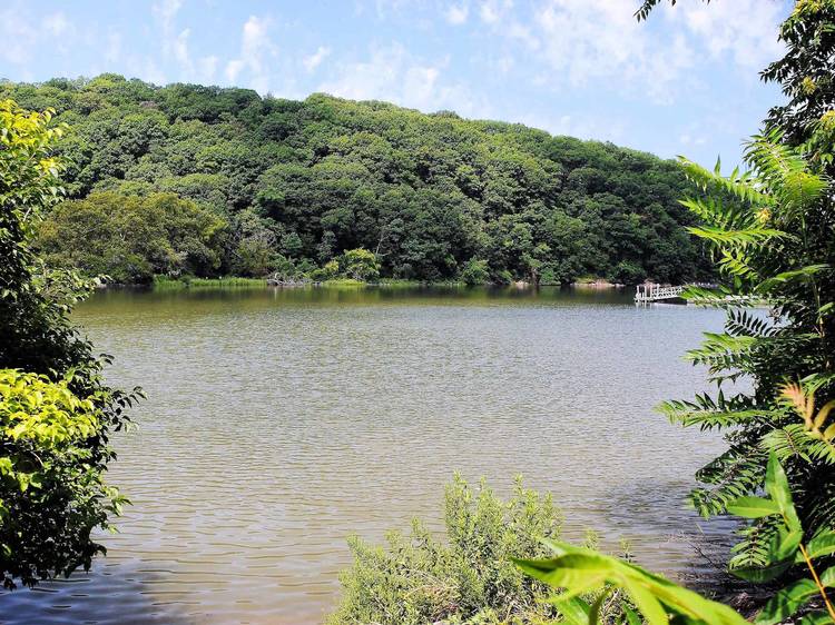 7 Best Kid-Friendly Hiking Trails Near NYC