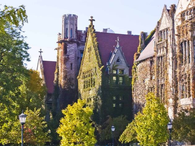 university of chicago, chicago, historic building, downtown, south side, shutterstock