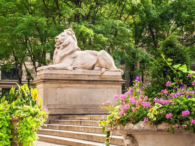 The 2020 Summer Reading program from the NYPL is the best yet NYPL Lions