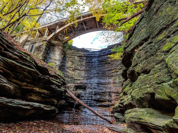 The best state parks near Chicago