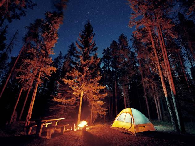 11+ Family Camping Locations