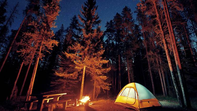 Tent in campsite