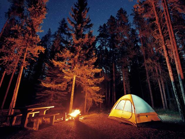 10++ Family Camping Sites Near Me